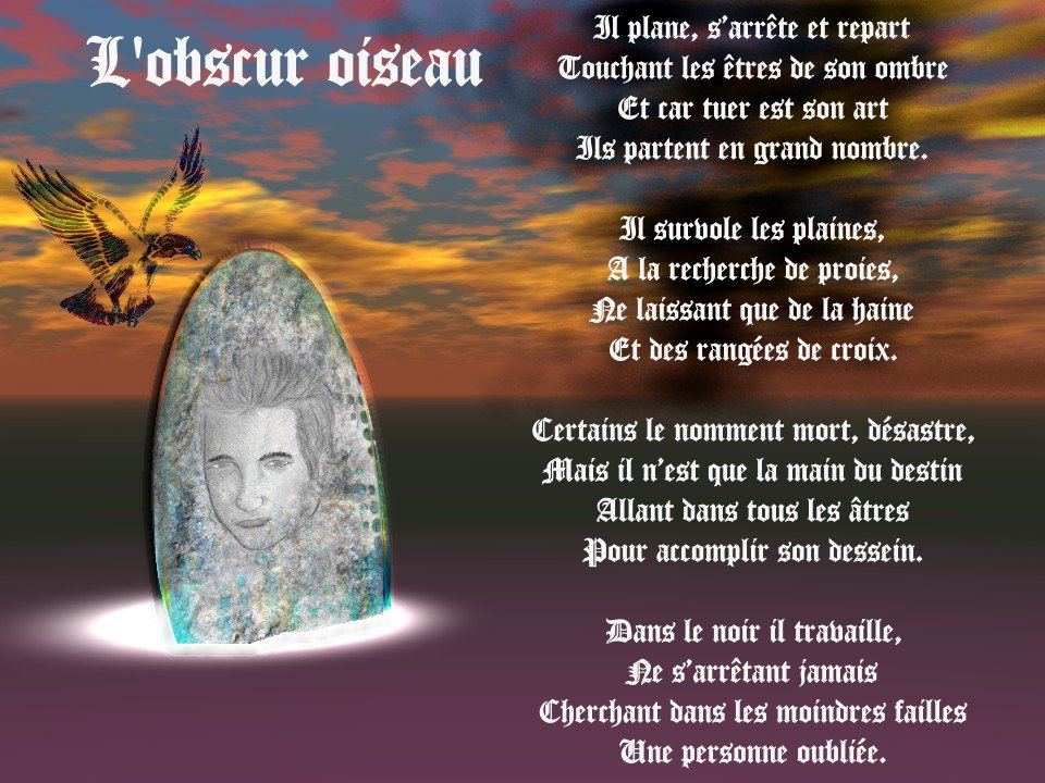 le fond d'cran Obscur oiseau